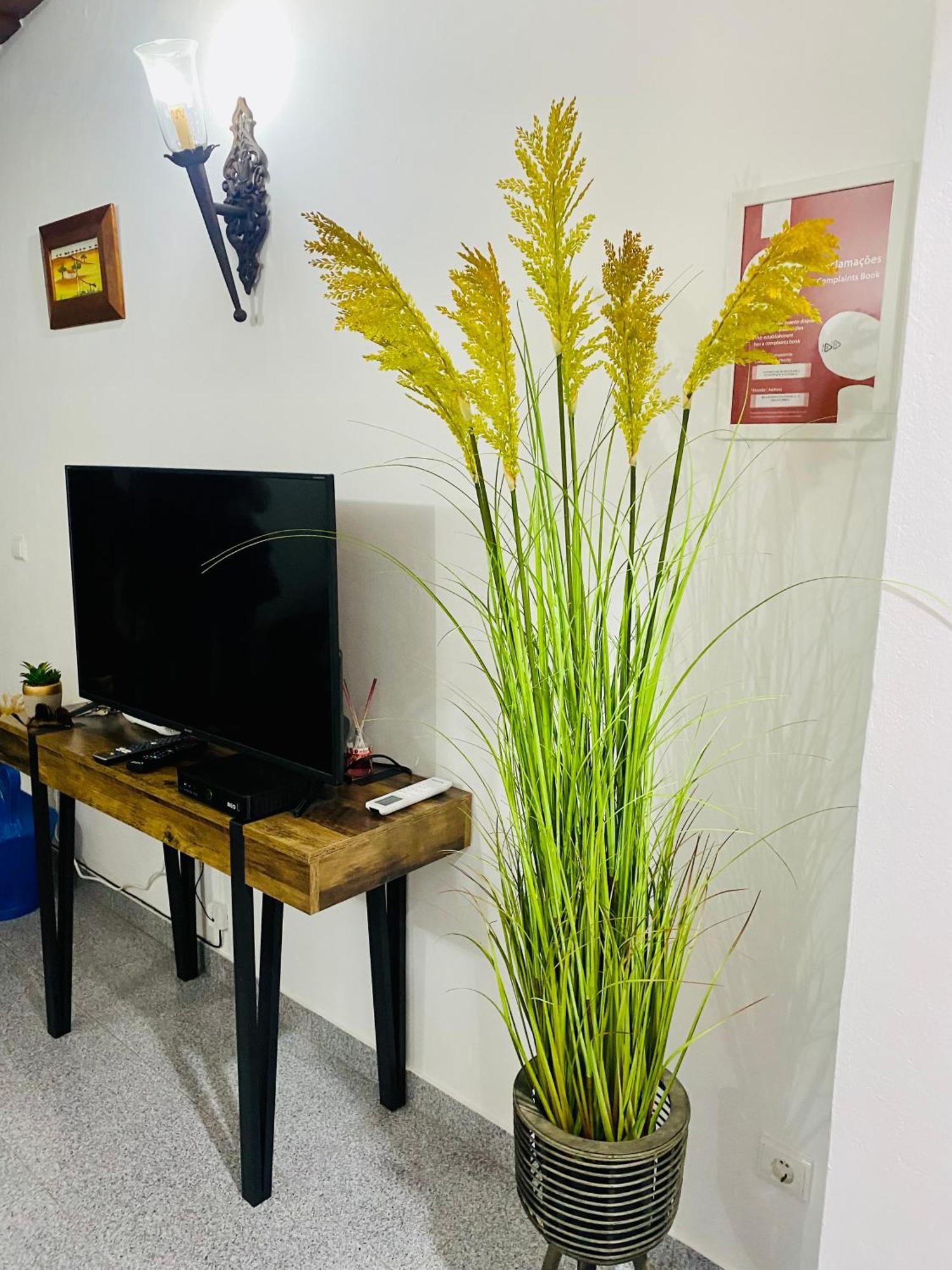 E Um Descanso Campinho 外观 照片